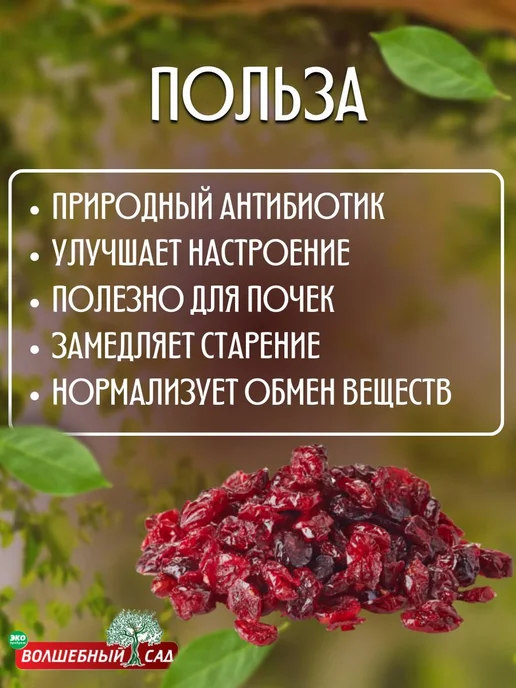Волшебный сад Клюква вяленая сушеная 500гр, 500 г, фото 3