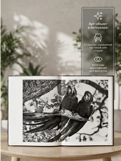 Книга Sebastiao Salgado. Genesis (Мини-формат). Taschen Taschen