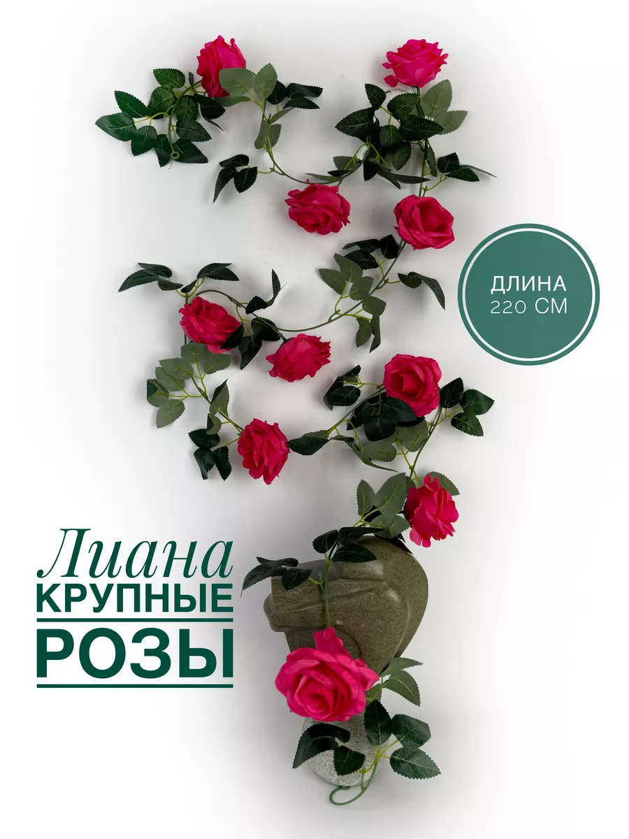 Лиана с крупными розами