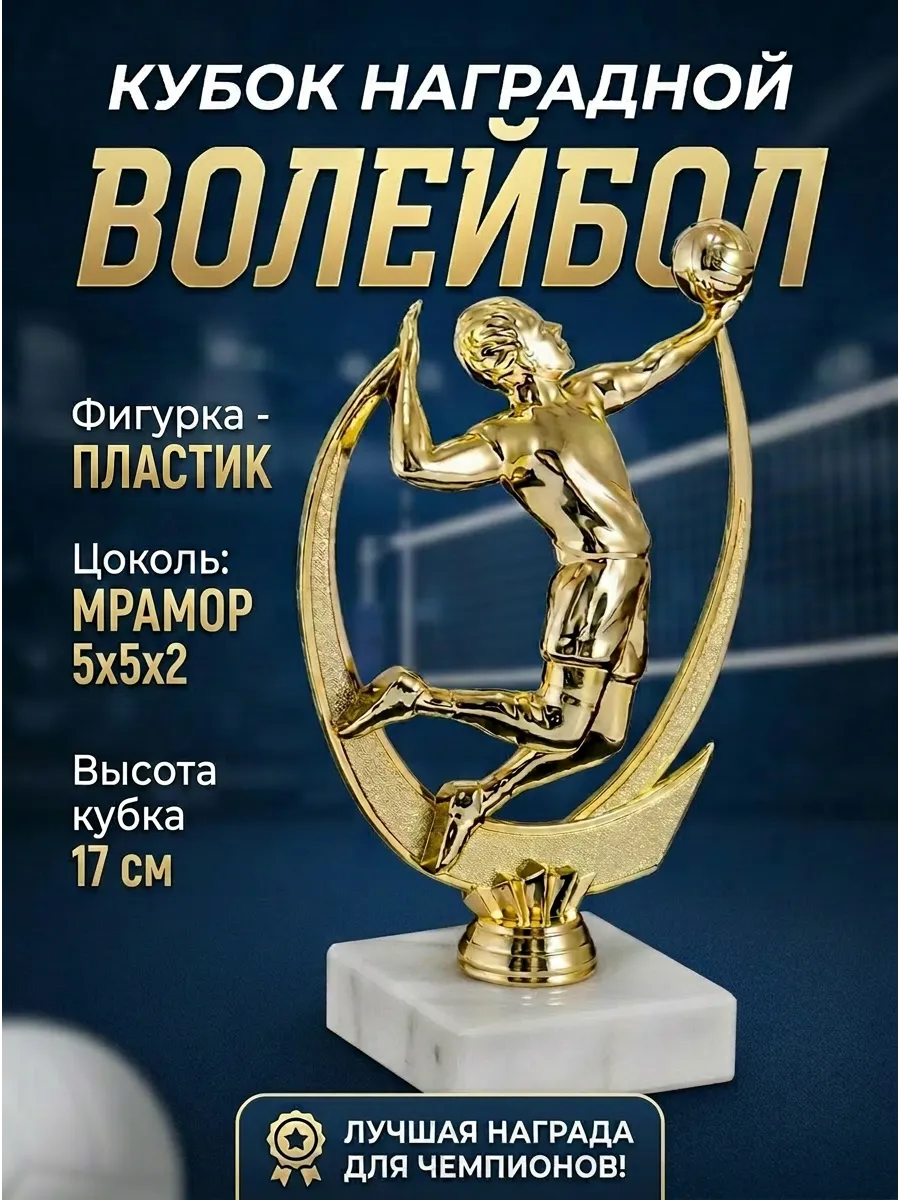 Кубок для награждения волейбол