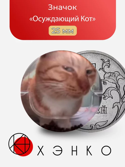 Осуждающий Кот мем