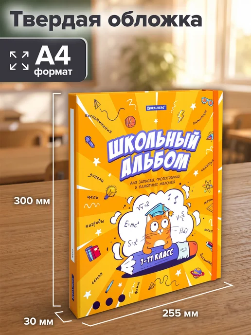 Brauberg Портфолио школьника, папка А4 на кольцах, 10 вкладышей, фиолетовый, фото 3