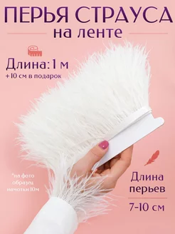 Перья страуса на ленте 228530542 купить за 387 ₽ в интернет-магазине Wildberries