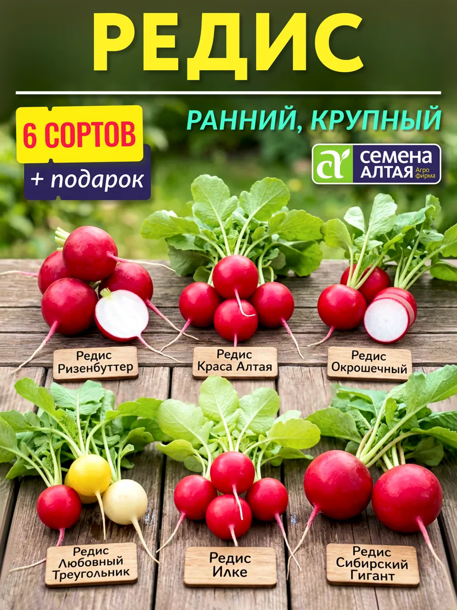 Семена редиса раннего крупного сладкого