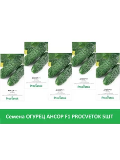 Procvetok - каталог 2023-2024 в интернет магазине WildBerries.ru
