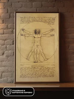 Постер из крафт-бумаги Vitruvian Man 52 х 36 см