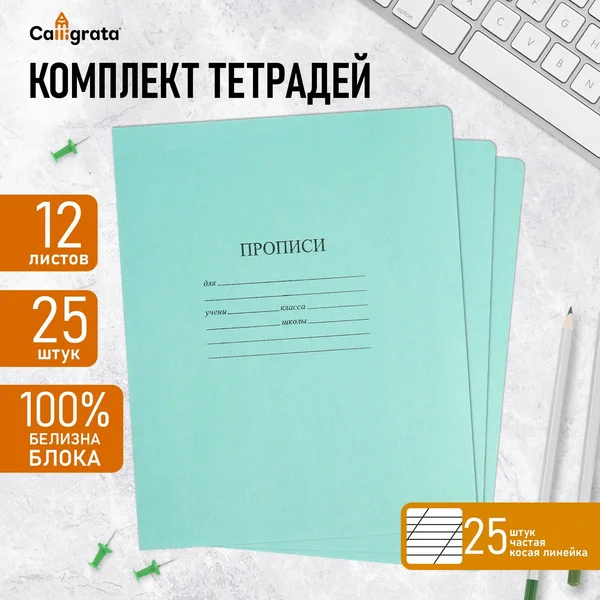 Комплект тетрадей 25 штук, 12 листов в частую косую линию