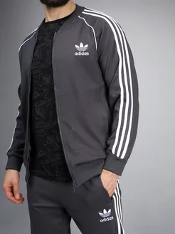 Толстовка на молнии без капюшона adidas 228705909 купить за 3 690 ₽ в интернет-магазине Wildberries