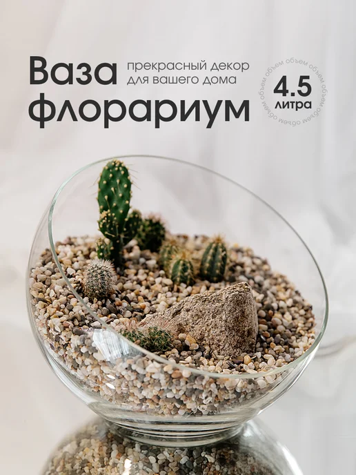 Crystal Slipper Декоративная ваза флорариум 4,5л без наполнения, 4,5 л