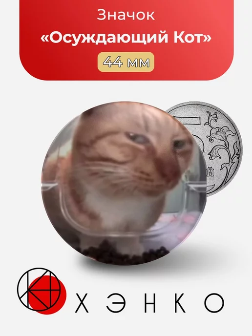 Осуждающий Кот мем
