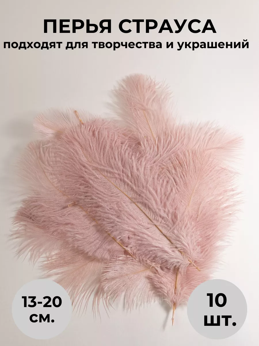 Страусиные перья страуса 10шт