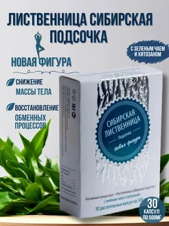 Сибирская Лиственница Новая Фигура