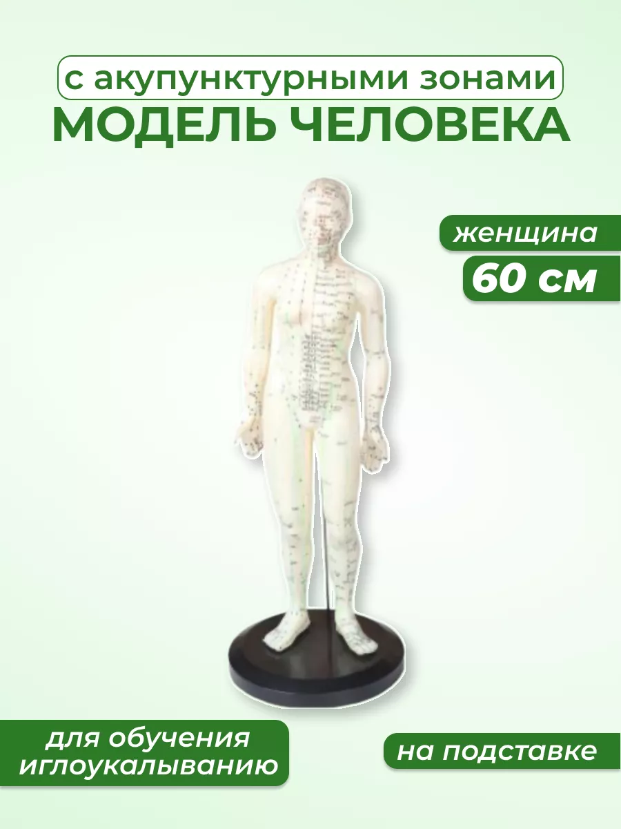 Модель человека с акупунктурными точками