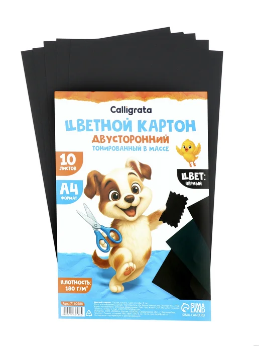 Calligrata Цветной картон двусторонний, черный, фото 4