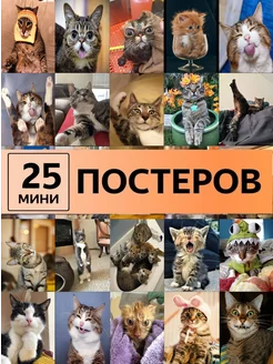 Смешные котики постеры