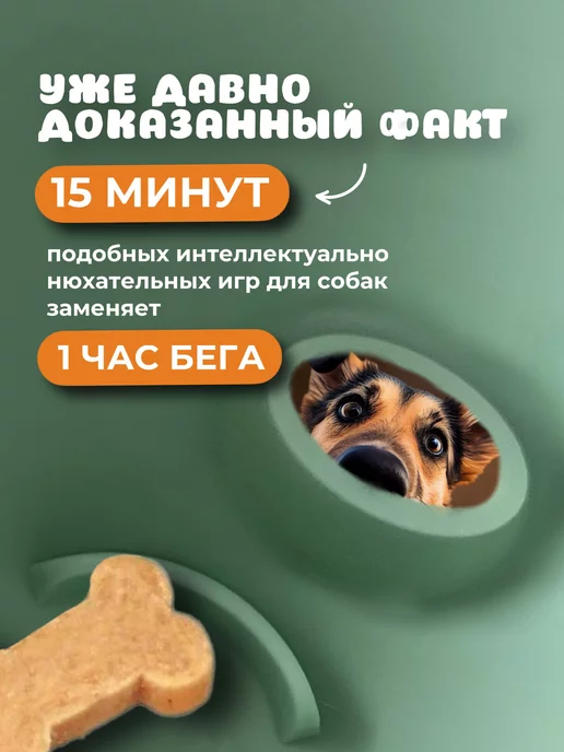 МуРРковка Игрушка для собак интерактивная неуловимая тарелка, зеленый, фото 5