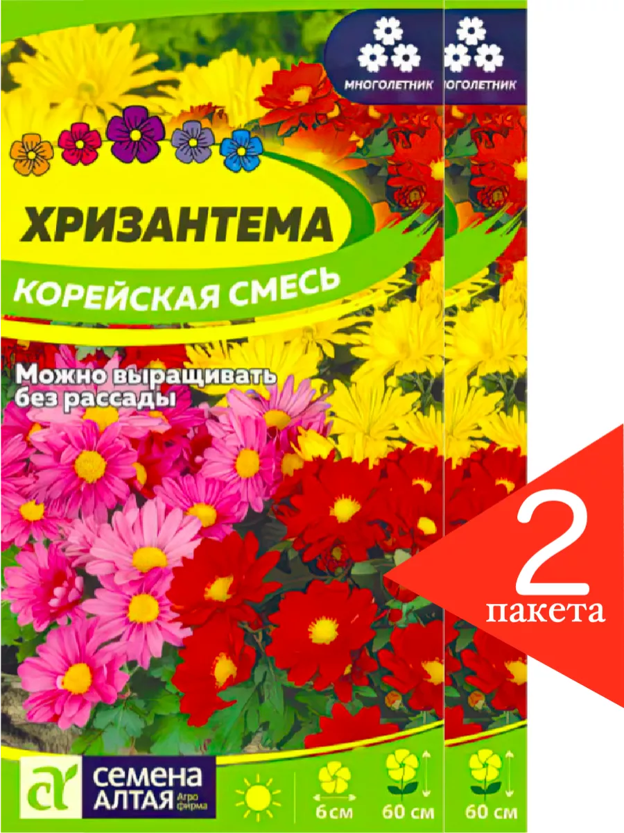 Хризантема махровая смесь. Хризантема многолетняя корейская махровая смесь. Хризантема гибридная 'clara curtis'. Семена хризантемы многолетней. Хризантема дизайнерская макси смесь аэл 0,02г (мн)® новинка 2023г.