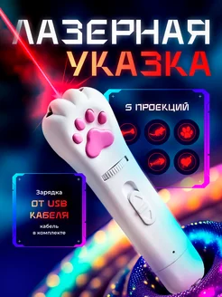 Игрушка дразнилка для кошек лазерная указка