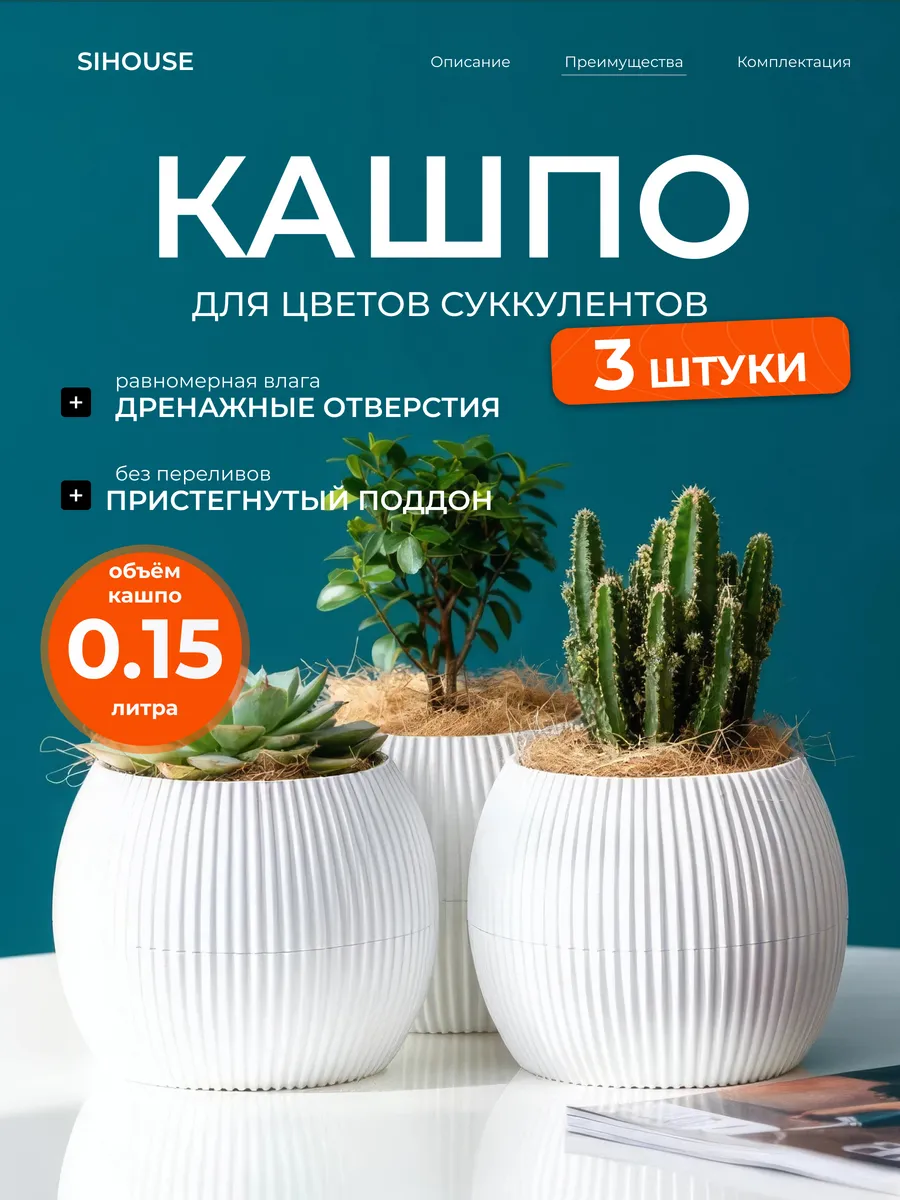 Кашпо для суккулентов и кактусов 0.15 л 3 шт