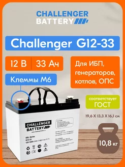 Аккумулятор тяговый 12в 33Ач (GEL) для ИБП, котлов Challenger 229167337 купить за 6 246 ₽ в интернет-магазине Wildberries