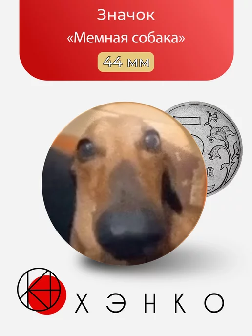 Собака мем из тик тока
