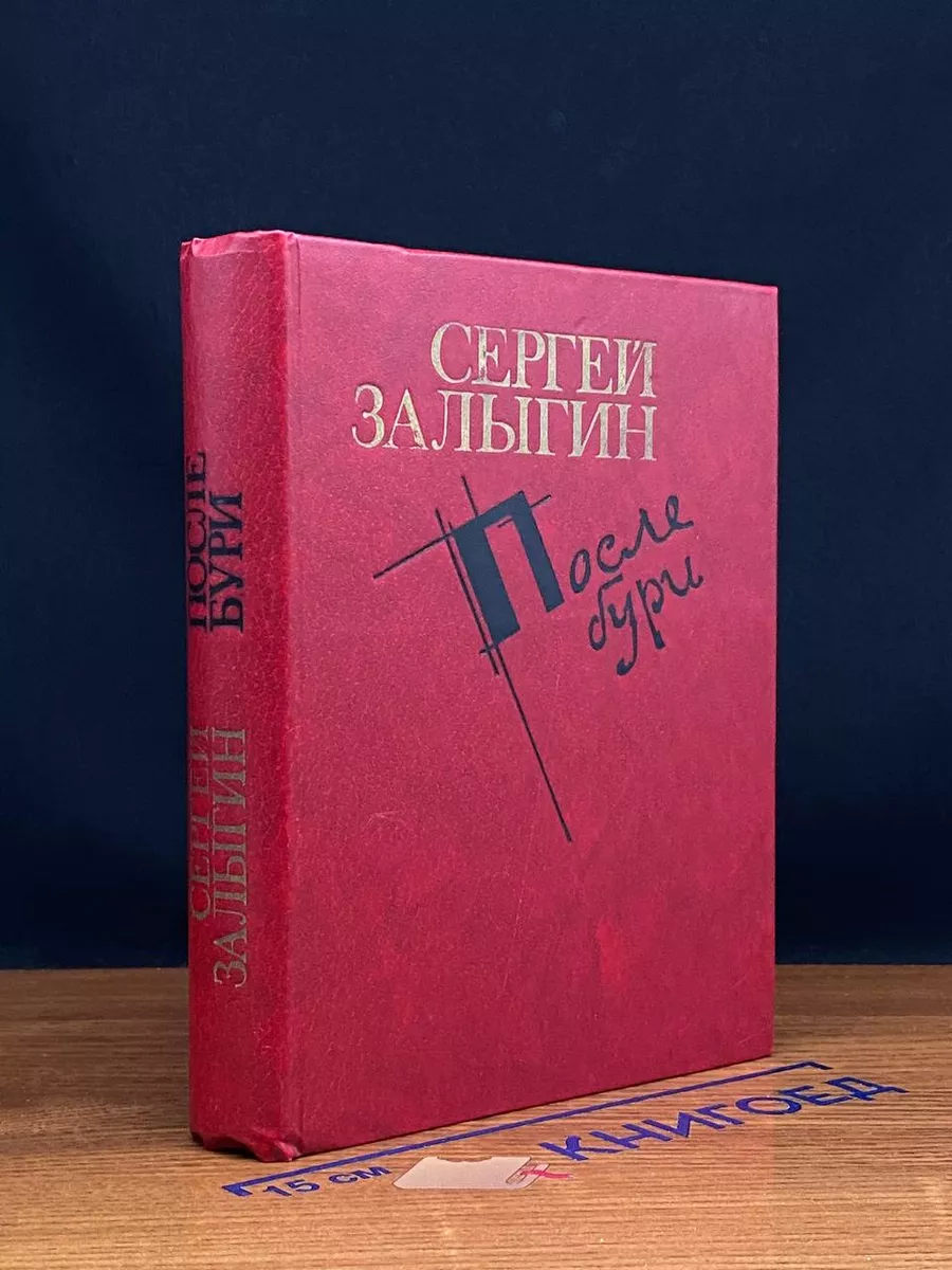 После бури. Книга 1