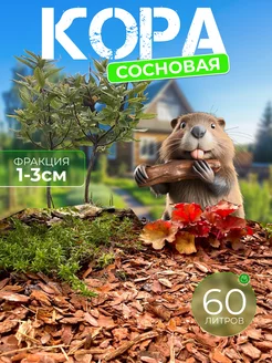 Кора сосновая мелкая для мульчирования сада Кора от бобра 229320437 купить за 565 ₽ в интернет-магазине Wildberries