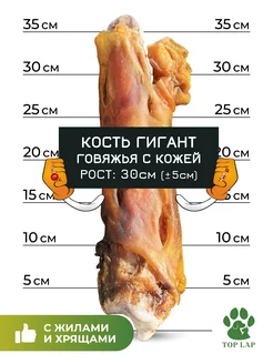 Кость говяжья лакомство с жилами и хрящами в коже Top Lap 229334075 купить за 347 ₽ в интернет-магазине Wildberries