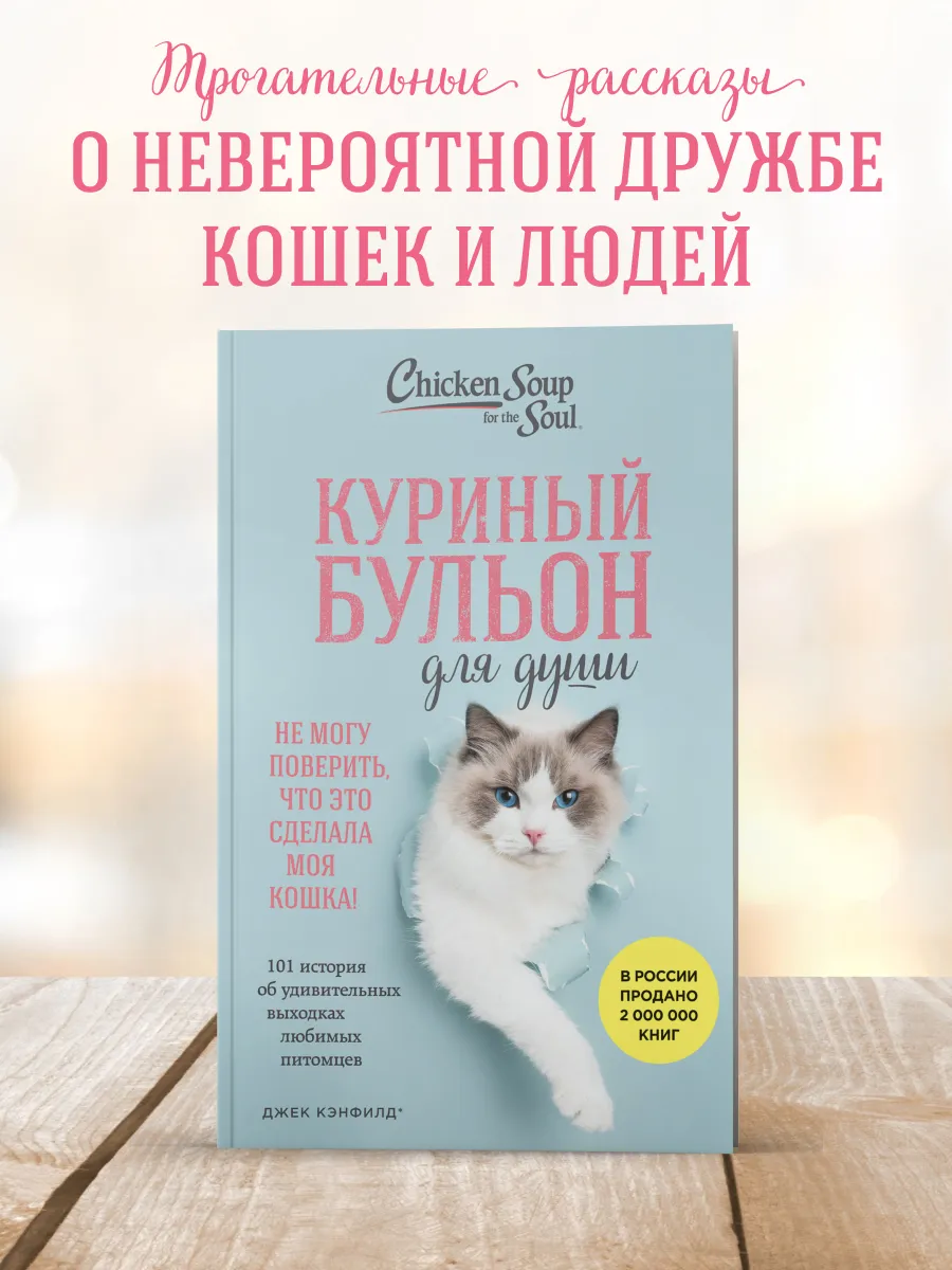 Куриный бульон для души. 101...