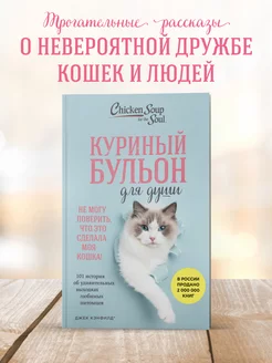 Куриный бульон для души. 101 удивительная история о кошках