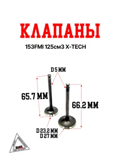 Клапаны 153FMI 125см3 X-TECH