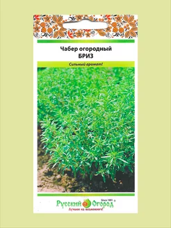 Семена чабера огородный Бриз Русский огород 229693127 купить за 99 ₽ в интернет-магазине Wildberries