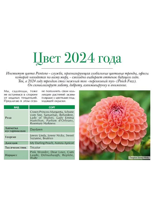 Цветок журнал о садовых цветах № 9 24, вариант, фото 3