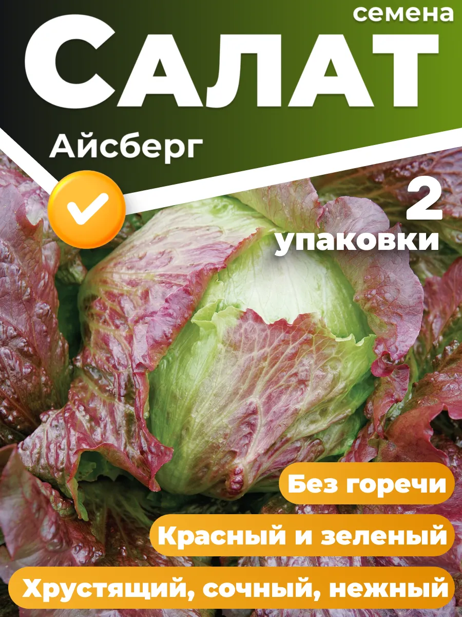 Салат айсберг семена 2 шт