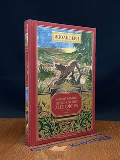 Жюль Верн. Полное собрание сочинений. Книга 41