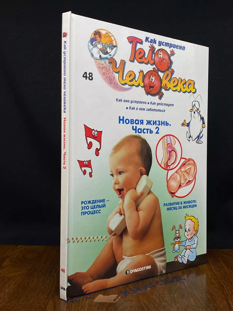 Новая жизнь. Часть 2