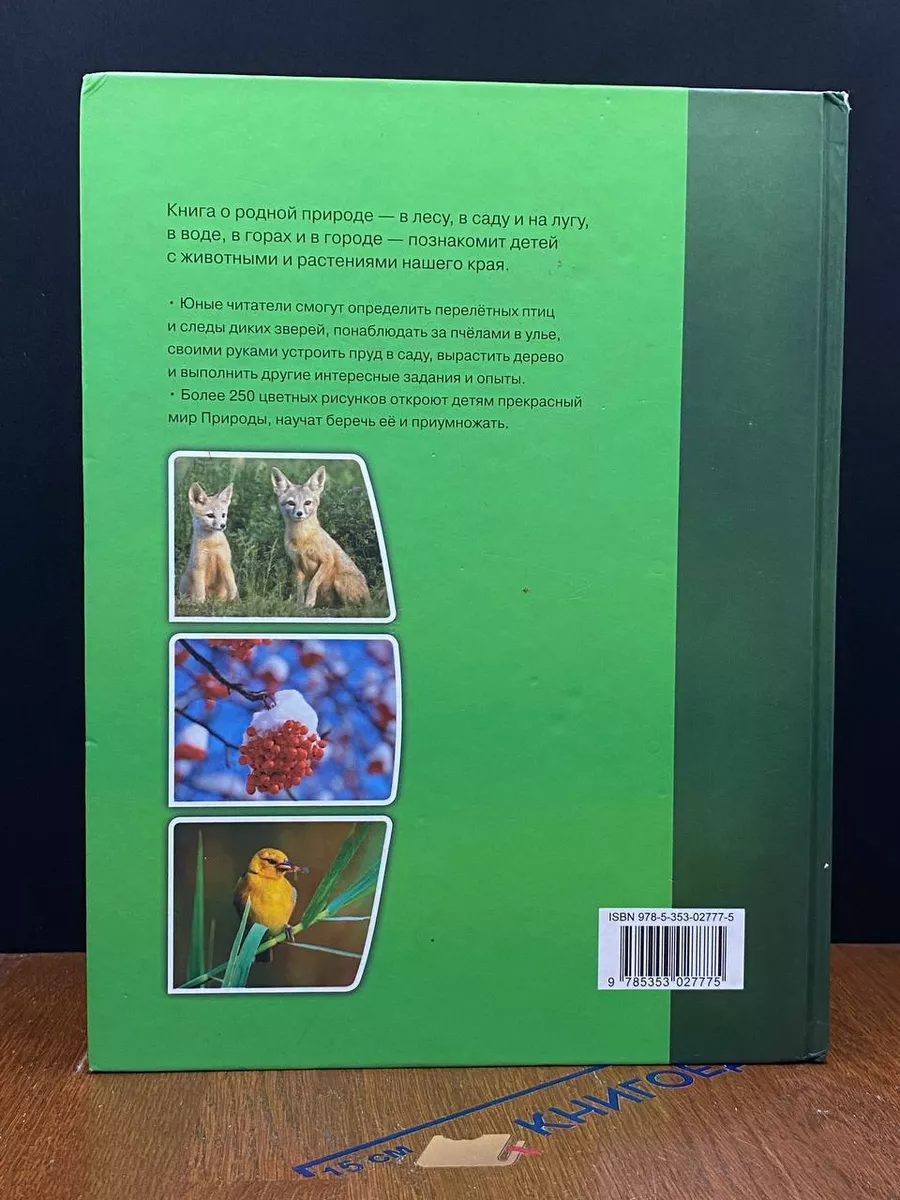 Энциклопедия родной природы Росмэн-Пресс 229763375 купить за 394 ₽ в  интернет-магазине Wildberries