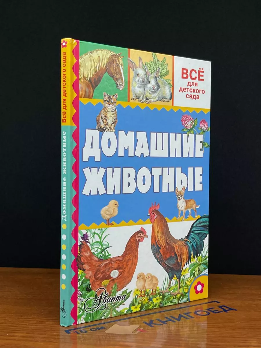 Домашние животные