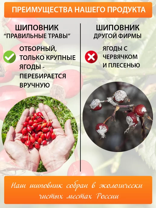 ПРАВИЛЬНЫЕ ТРАВЫ Шиповник сушеный растворимый 500 г, 500 г, фото 6
