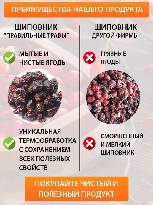 ПРАВИЛЬНЫЕ ТРАВЫ Шиповник сушеный растворимый 500 г, 500 г, фото 7