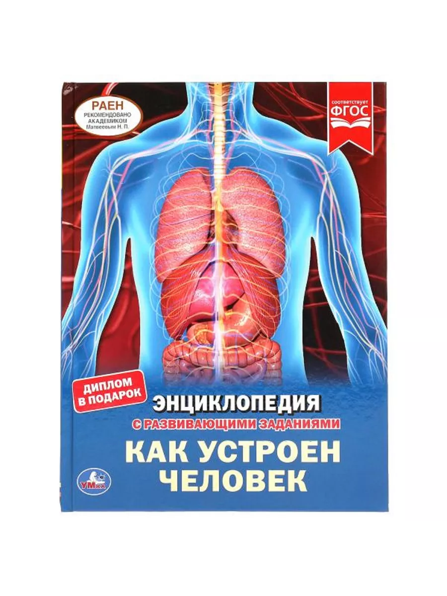Как устроен человек. Энциклопедия с развивающими заданиями