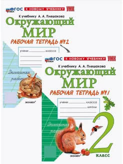 Рабочая тетрадь Окружающий мир 2 класс Плешаков к новому уч