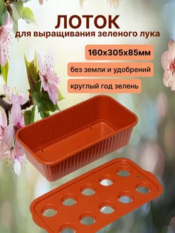 Лоток для выращивания зеленого лука