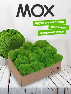 Мох для оформления цветочных композиций и рукоделия