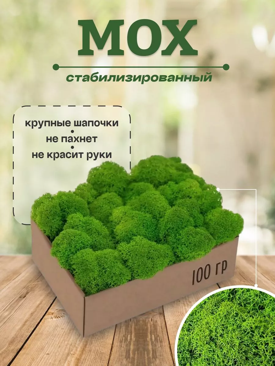 Натуральный мох для дизайна и флористики аквариума