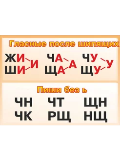 Стенд начальной школы "Гласные после шипящих" 800х600мм