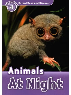 Read and Discover 4 Animals at Night