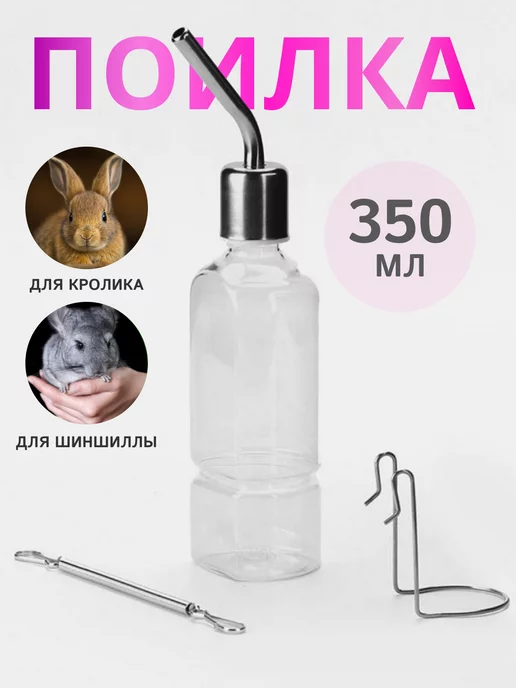 Домашние кролики