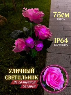 Уличный светильник на солнечной батарее для дачи и сада