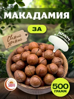 Макадамия орех в скорлупе 500 гр